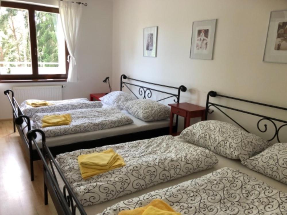 Apartmany Lipno Boucek リプノ・ナト・ヴルタヴォウ エクステリア 写真