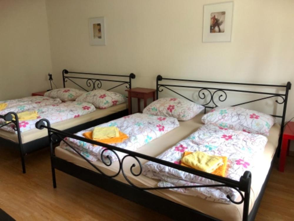 Apartmany Lipno Boucek リプノ・ナト・ヴルタヴォウ エクステリア 写真