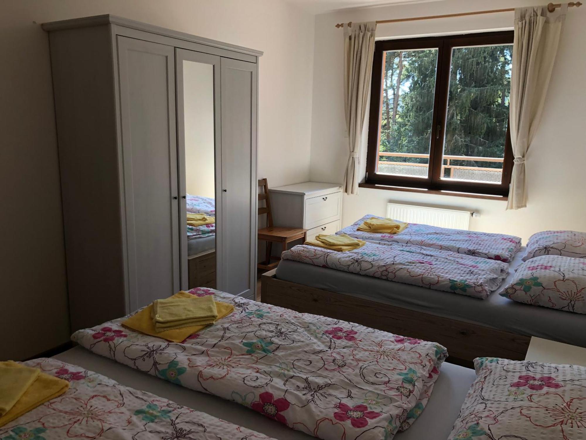Apartmany Lipno Boucek リプノ・ナト・ヴルタヴォウ エクステリア 写真